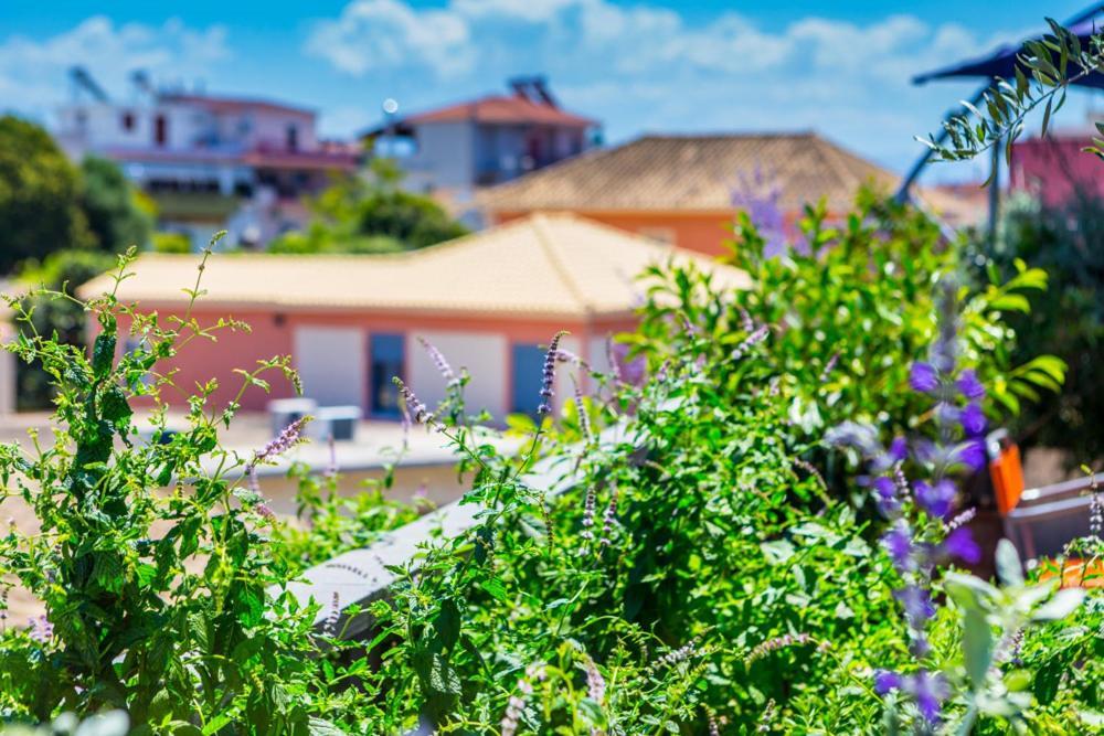 Koukounari Living Spaces Preveza Exterior foto